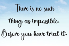 Buffalo Product Image 7