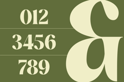 Buffery Reflika - Modern Bold Serif Font Product Image 10