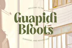 Buffery Reflika - Modern Bold Serif Font Product Image 13