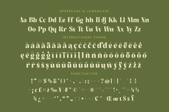 Buffery Reflika - Modern Bold Serif Font Product Image 19