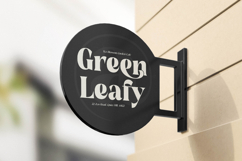 Bugeta Dream - New Modern Bold Serif Product Image 6