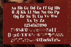 Bugeta Dream - New Modern Bold Serif Product Image 18