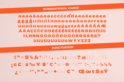 Bugky Groft - Groovy Sans Serif Display Font Product Image 13