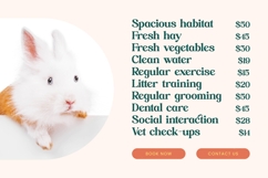 Builds Haven - Groovy Serif Display Font Product Image 15