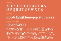 Builds Haven - Groovy Serif Display Font Product Image 18