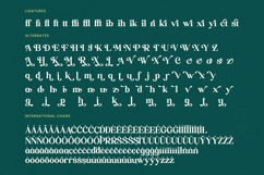 Builds Haven - Groovy Serif Display Font Product Image 19