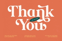 Builds Haven - Groovy Serif Display Font Product Image 20