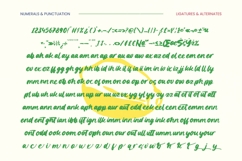 Bulettar Sundel - Bold Brush Product Image 13