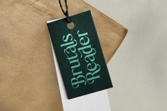 Bulings Nature - Vintage Serif Display Product Image 6