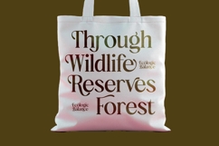 Bulings Nature - Vintage Serif Display Product Image 7