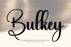 Bulkey Product Image 1