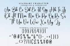 Bulkey Product Image 5