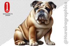 Bulldog dog Clipart - PNG File Product Image 1