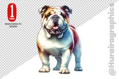 Bulldog dog Clipart - PNG File Product Image 1