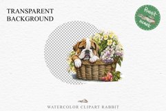 Bulldog Cute Puppy Baby Dog Animals Clipart PNG Scrapbooking Watercolor  Transparent Print for invitation t-shirt designs sublimation kids printable digital watercolor Baby dog png, watercolor bulldog puppy clipart, sublimation nursery drawing