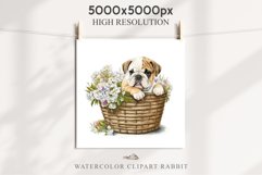 Bulldog Cute Puppy Baby Dog Animals Clipart PNG Scrapbooking Watercolor  Transparent Print for invitation t-shirt designs sublimation kids printable digital watercolor Baby dog png, watercolor bulldog puppy clipart, sublimation nursery drawing