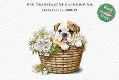 Bulldog Cute Puppy Baby Dog Animals Clipart PNG Scrapbooking Watercolor  Transparent Print for invitation t-shirt designs sublimation kids printable digital watercolor Baby dog png, watercolor bulldog puppy clipart, sublimation nursery drawing