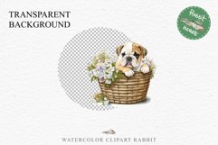 Bulldog Cute Puppy Baby Dog Animals Clipart PNG Scrapbooking Watercolor  Transparent Print for invitation t-shirt designs sublimation kids printable digital watercolor Baby dog png, watercolor bulldog puppy clipart, sublimation nursery drawing