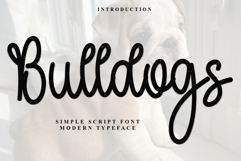Bulldogs Product Image 1