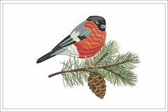 Bullfinch embroidery design, pine embroidery, Product Image 1