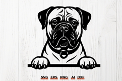 Bullmastiff Peeking Dog SVG PNG | Mastiff Car Decal Design Product Image 1