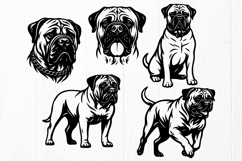 Bullmastiff Dog SVG Bundle | 10 Designs | Dog Breed Design Product Image 2