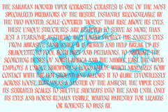 Bullvone Product Image 10