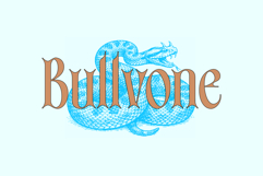 Bullvone Product Image 11