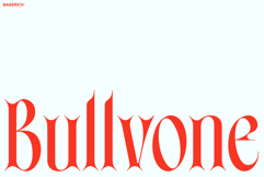Bullvone Product Image 1