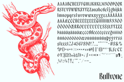 Bullvone Product Image 2