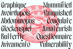 Bullvone Product Image 3