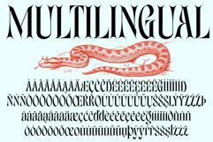 Bullvone Product Image 9