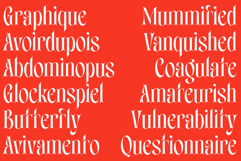 Bullvone Product Image 5