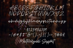 Bumgreks Signature - Stylish Script Product Image 10