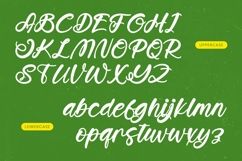 Bumlay Otican - Bold Handwritten Font Product Image 12