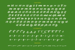 Bumlay Otican - Bold Handwritten Font Product Image 19
