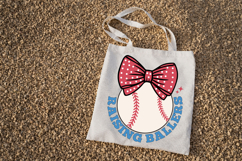 Raising Ballers Product Image 3