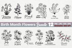 Birth Month Flowers Line Art SVG PNG Bundle Product Image 1