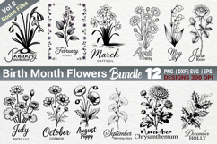 Birth Month Flowers SVG PNG Bundle Vol.2 Product Image 1