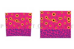 bundle 6 sunflower skinny tumbler sublimation design for 20oz and 30oz skinny tumbler sublimation wrap