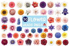 SUPER 50 BUNDLE of Watercolor Flower Heads Product Image 1