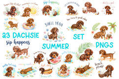 23 Dachshund Summer Watercolor Cliparts Bundle Product Image 1