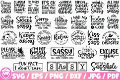 Sassy / Sarcastic Quotes x30 BUNDLE Svg/Eps/Png/Dxf/Jpg/Pdf Product Image 1