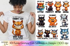Sublimation Mega Bundle of 100 PNG | Funny &amp; Positive Quotes Product Image 2