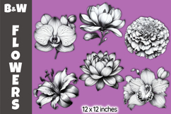 Black &amp; White Floral Clipart, Vintage Botanical Flowers Product Image 1