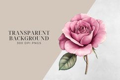 Vintage Pink Rose Flowers Clipart BUNDLE PNG. Product Image 2