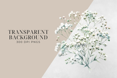 Baby’s Breath Clipart Pack| Floral Watercolor PNG. Product Image 2