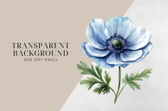 Ivory &amp; Dusty Blue Anemone Flowers, Watercolor Clipart PNG. Product Image 2