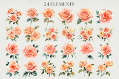 Blush &amp; Peach Watercolor Roses Clipart BUNDLE PNG. Product Image 3