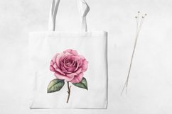 Vintage Pink Rose Flowers Clipart BUNDLE PNG. Product Image 4